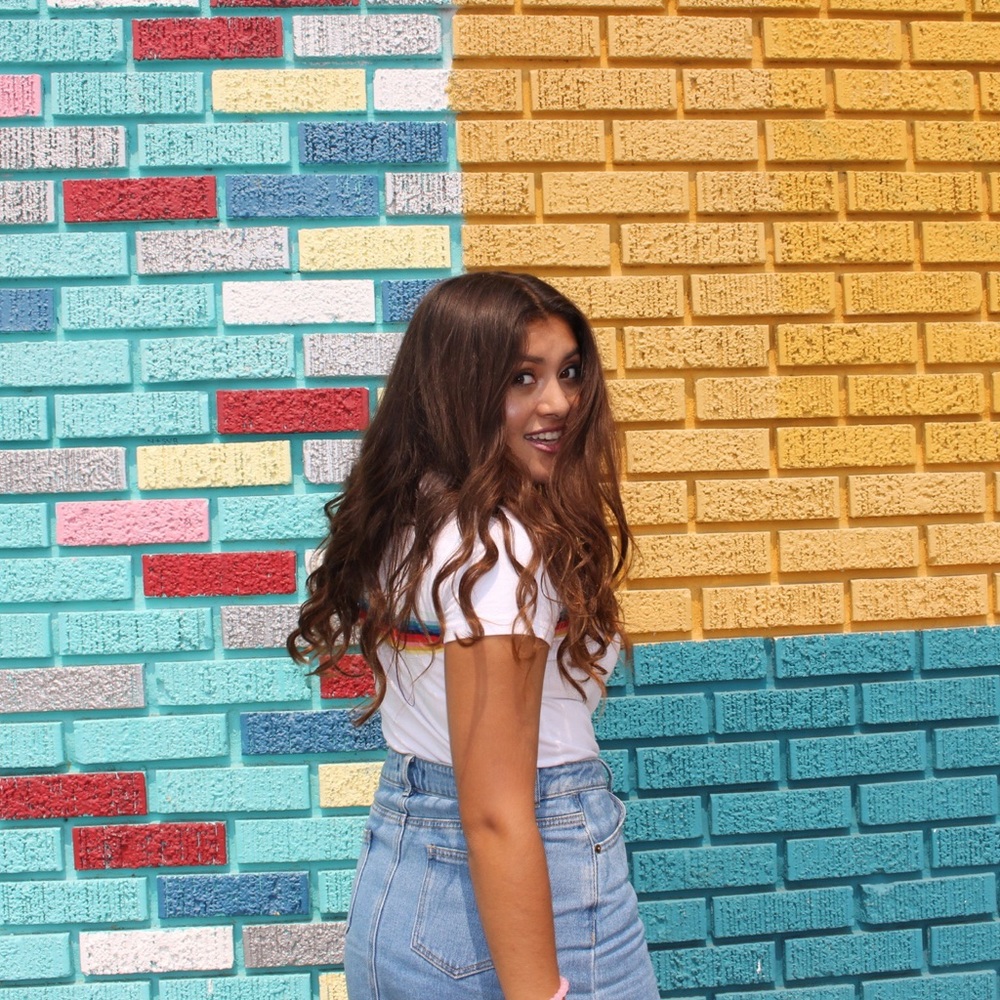 BRANDY MELVILLE TOP!!! (no longer sold in stores)